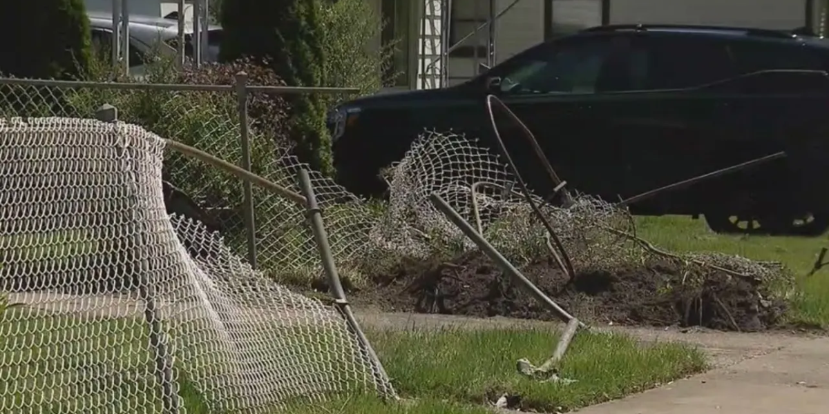 Deadly Chase in Warren: 71-Year-Old Woman Killed After Suspect Flees Police