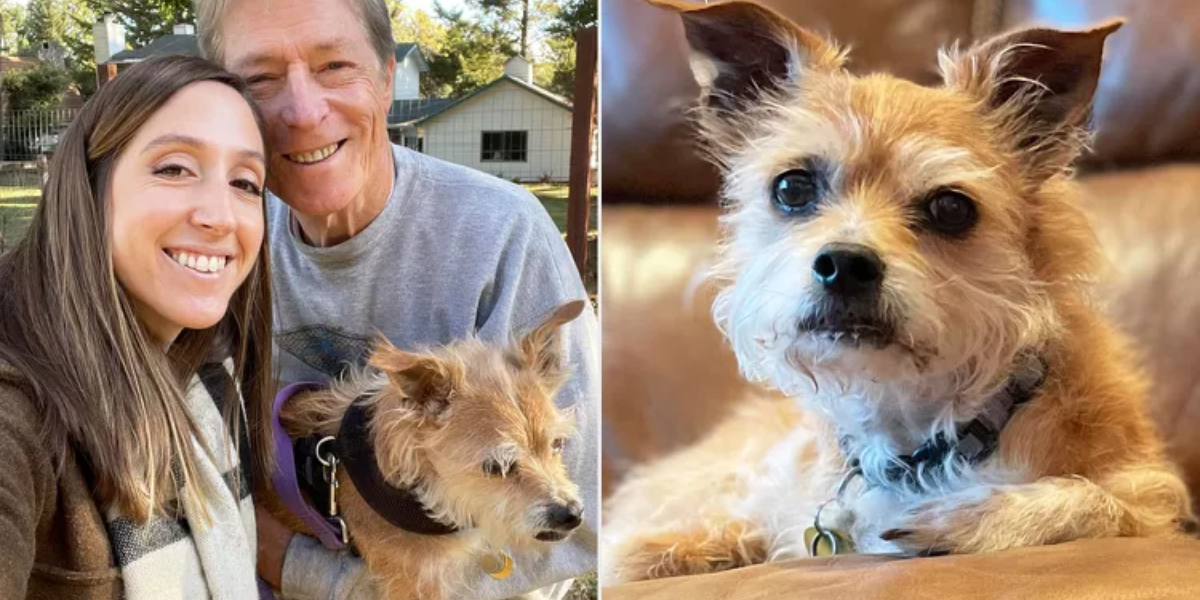 Emotional Video Shows Dad’s Last Moments with Beloved Dog Before Goodbye