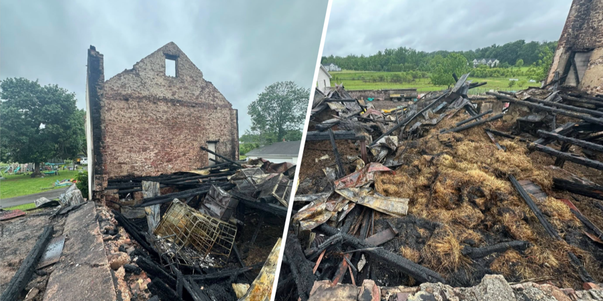 Heartbreaking Barn Fire Claims Dozens of Animals at Animal Sanctuary in Montgomery County