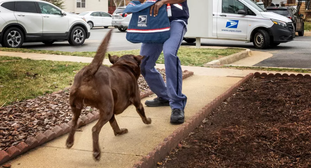 Los Angeles Leads Nation in Dog Attacks on USPS Workers, New Report Reveals