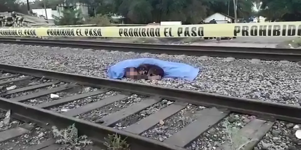 Man Dies Trying to Save His Dog After Being Hit by Train in Fort Worth