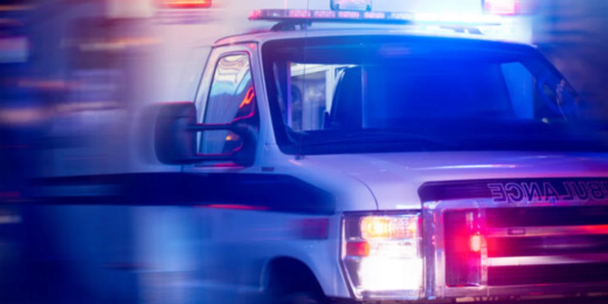 Man Killed by Falling Logs During Excavator Work in West Penn Township Identified