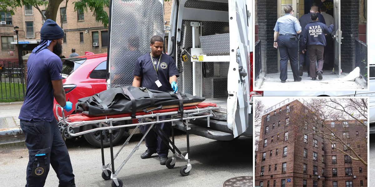Tragic Dog Attack Claims Life of 1-Month-Old in Queens: Authorities Investigate