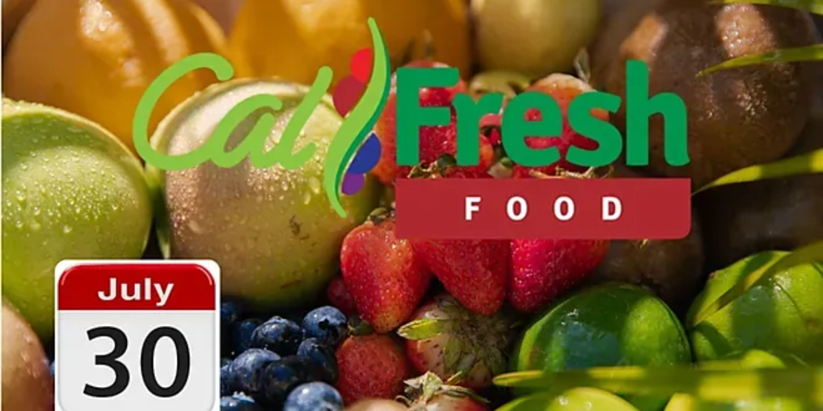California's CalFresh July 2025 Payment Schedule Released: Find Your Deposit Date