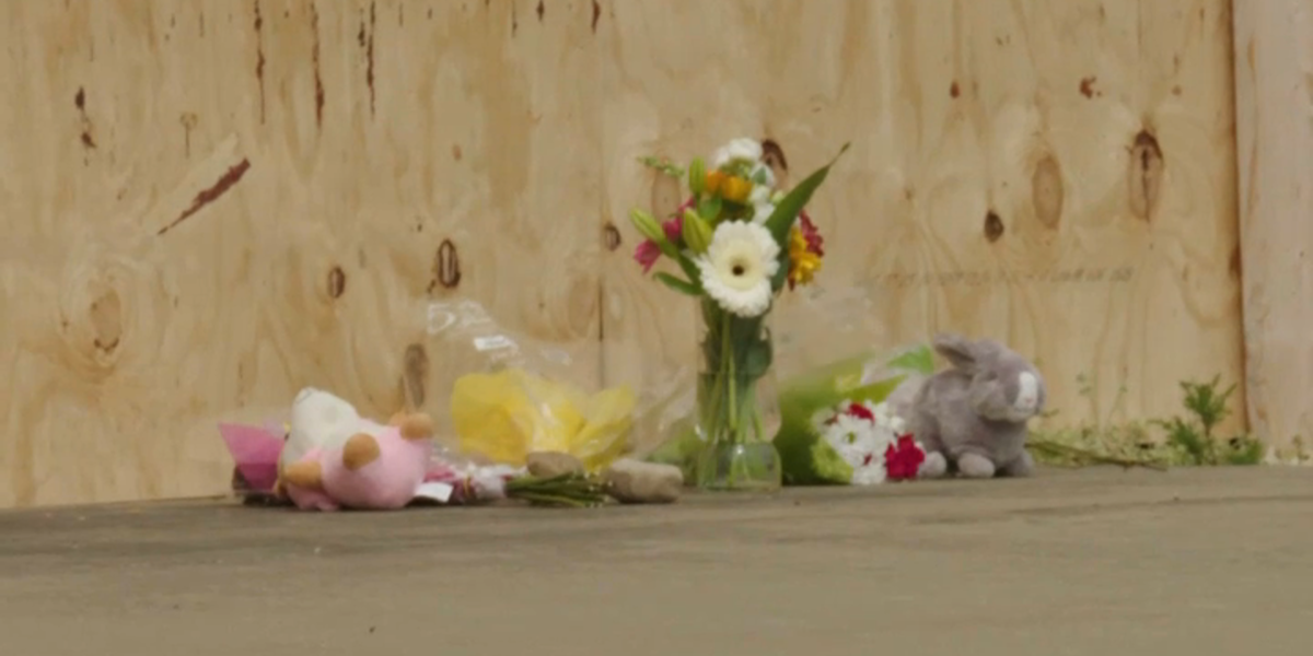 Chatham, Illinois Mourns the Loss of 8-Year-Old Following Daycare Accident