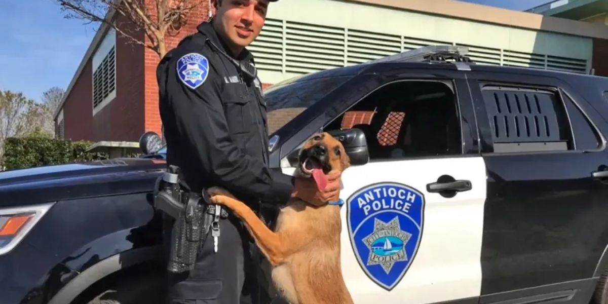 Ex-K-9 Officer in California Sentenced to Seven Years for Civil Rights Violations and Falsifying Documents