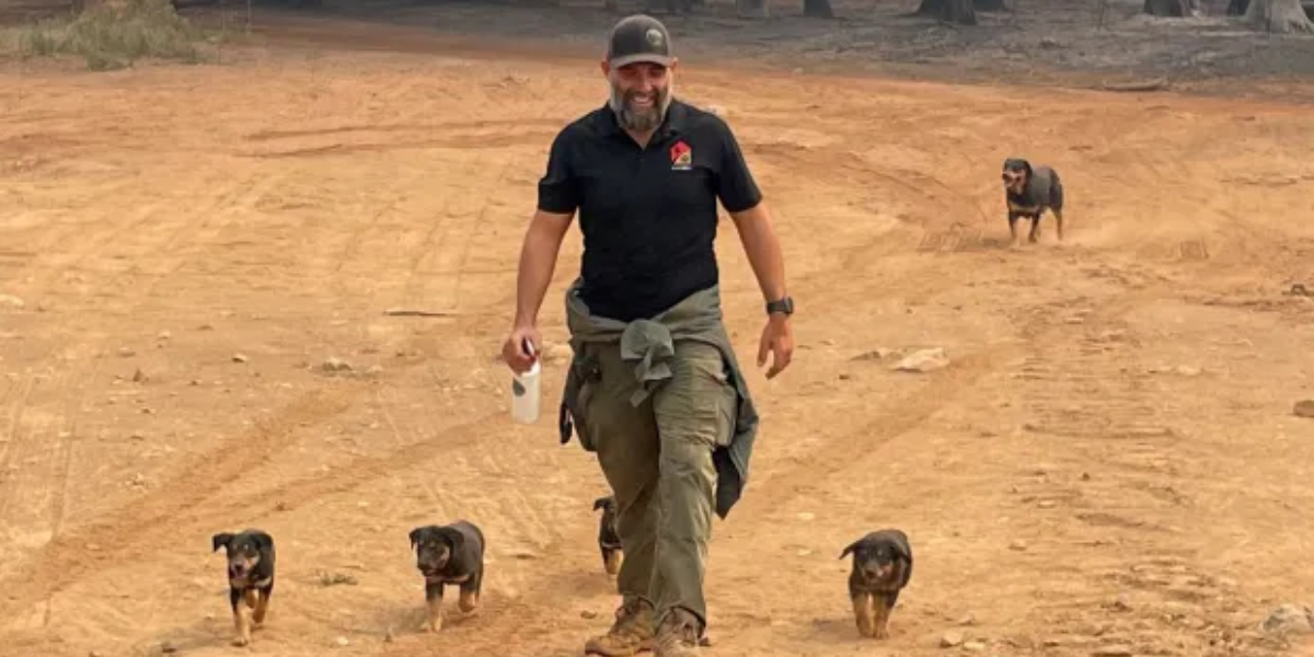 Five Puppies Rescued After Brush Fire Sweeps 20 Acres Near San Jose Airport