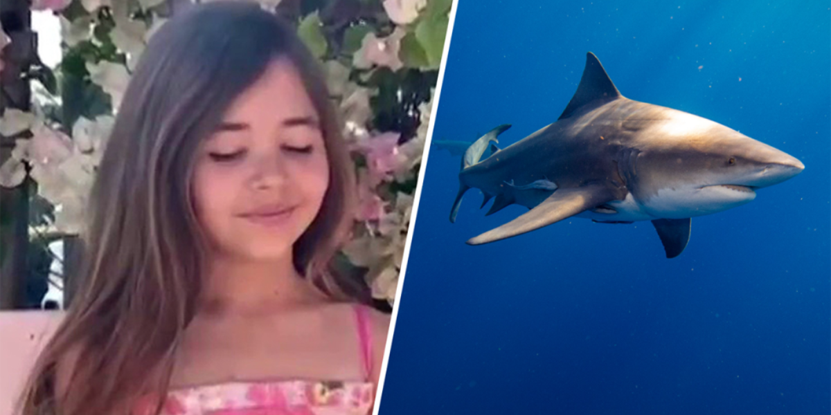 Florida: 9-Year-Old Boy Rescued After Shark Bite, Heroic Crews in Action