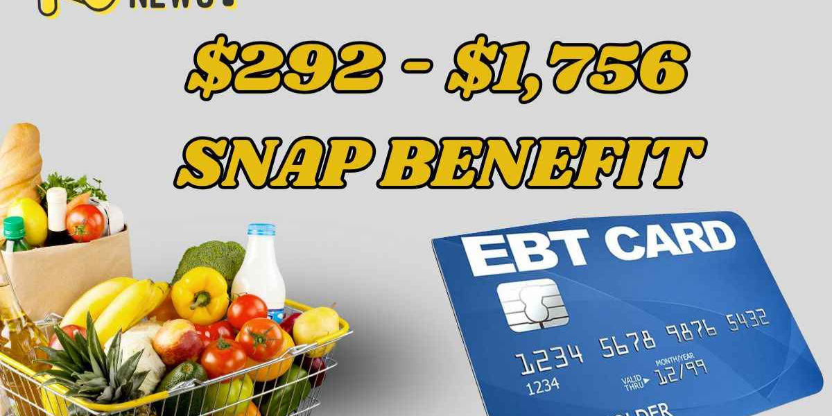 Florida Disburses SNAP Payments Ranging from $292 to $975 in June 2025