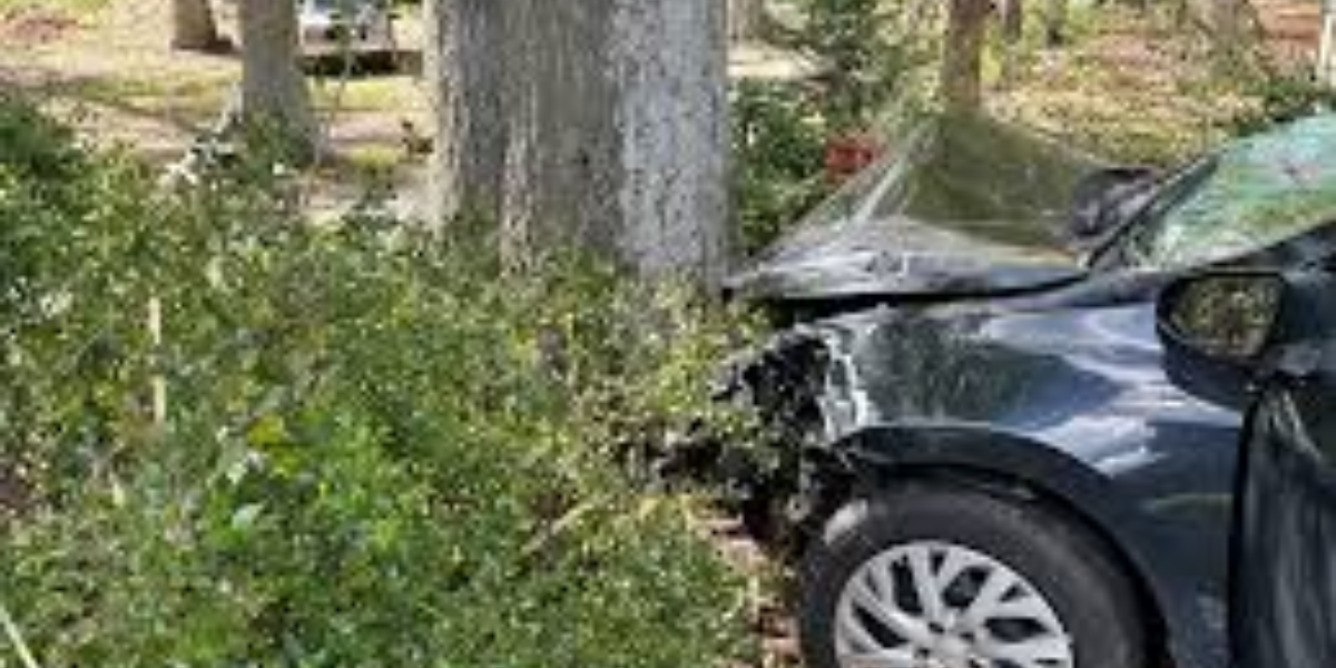 Georgia Driver Seriously Injured After Crashing Into Tree in Mecosta County