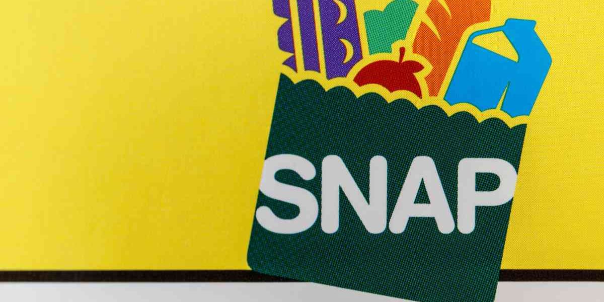 Get Ready for Your $3487 SNAP Payment in March 2025 Application Deadlines and Dates