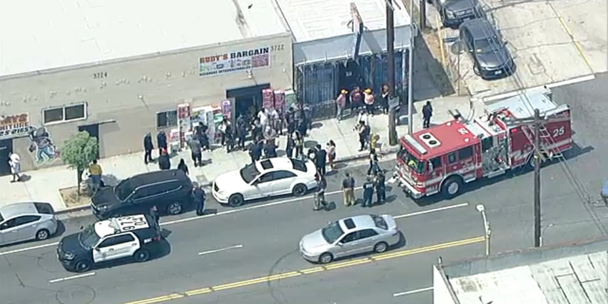 Los Angeles Shaken as Federal Agents Get Involved in Ongoing Hit and Run Case