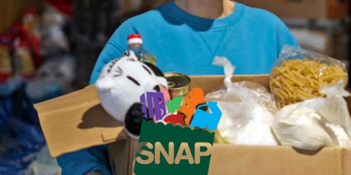 Match Dates SNAP Payments Up to $975 Through June 28 & Food Stamp Schedule for July