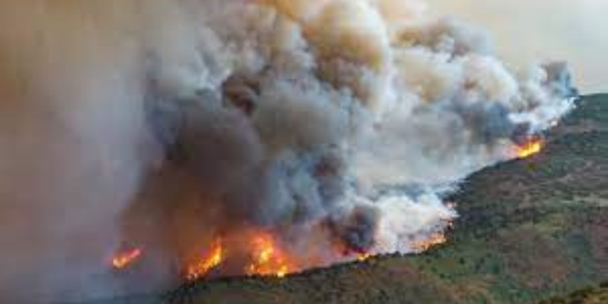 New Colorado Law Aims to Lower Insurance Costs by Recognizing Homeowners’ Wildfire Safety Measures