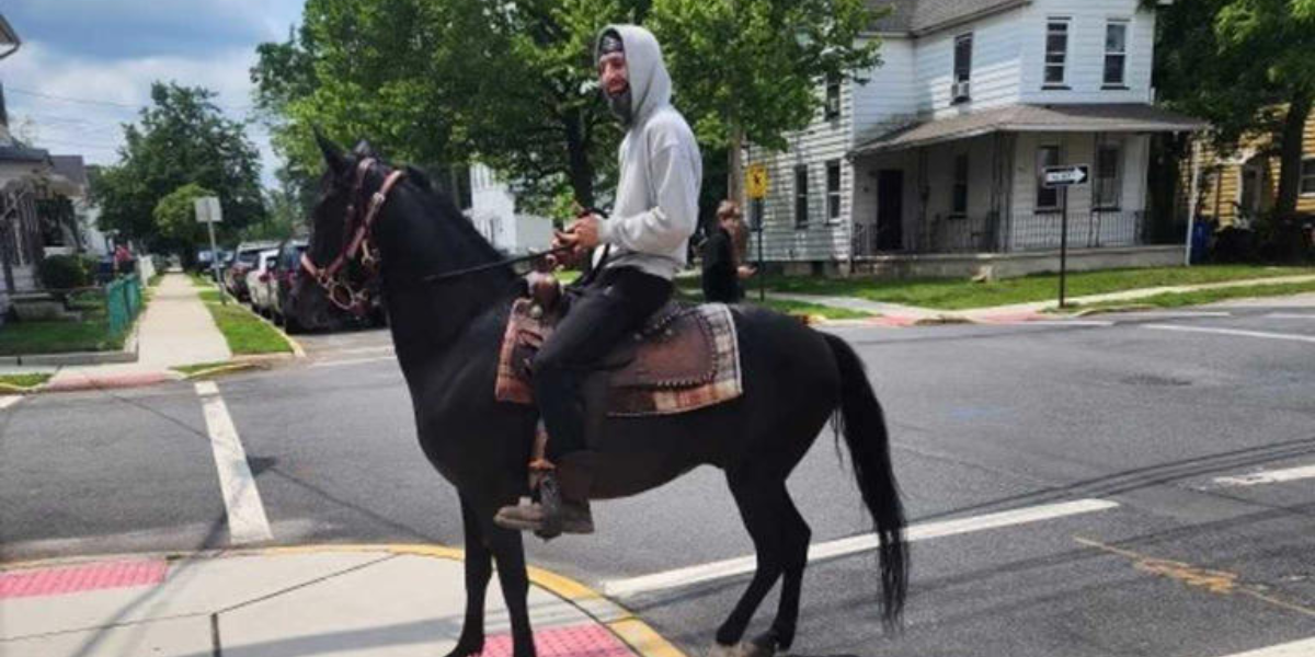 New Jersey Hero on Horseback Helps Cops Track Down Hit-and-Run Driver!