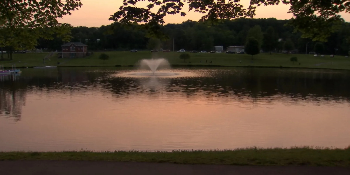 Puppy Found Dead in Stanley Quarter Park, New Britain Sparks Investigation