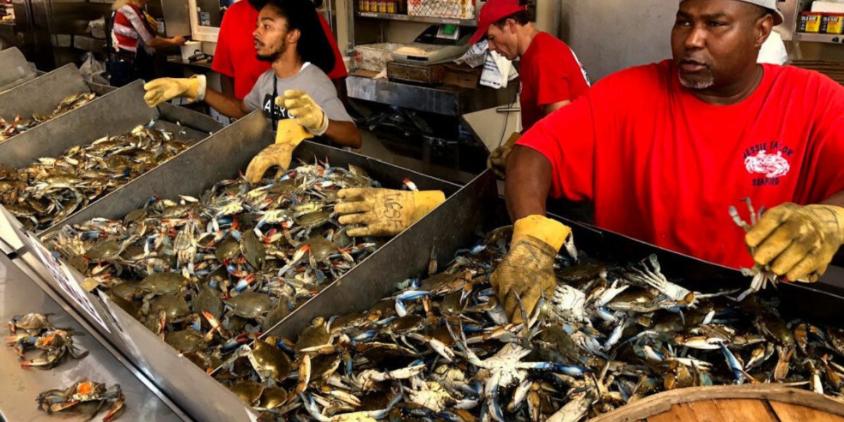 Seafood Sellers in Southwest DC Push Through the Heat at Historic Fish Market