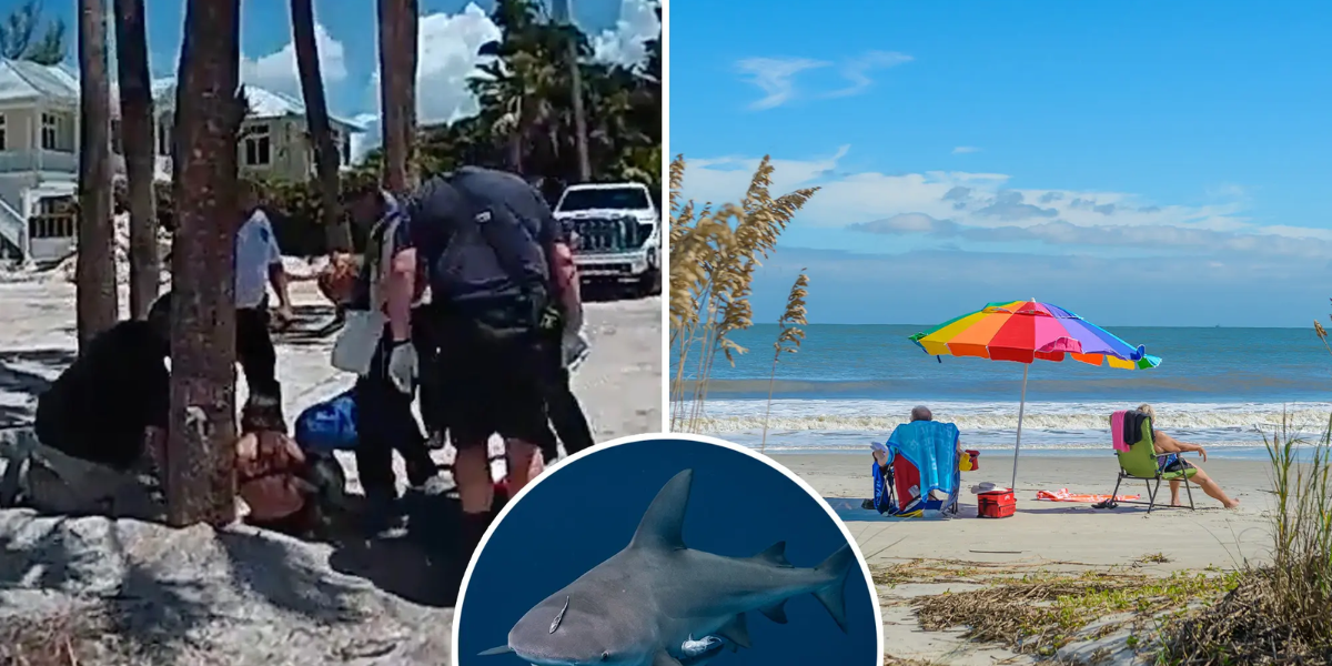 Shark Attacks 22-Year-Old Woman in South Carolina Just Days After Florida Attack