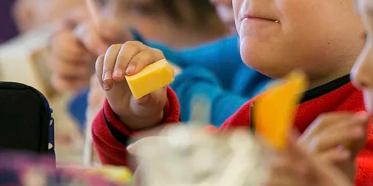 Summer Food Stamps 2025: What You Can and Can't Buy with This Vital Support