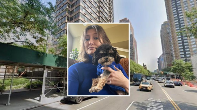 UES Dog Killed by Speeding E-Bike; Owner Left Without Legal Recourse Due to Loophole