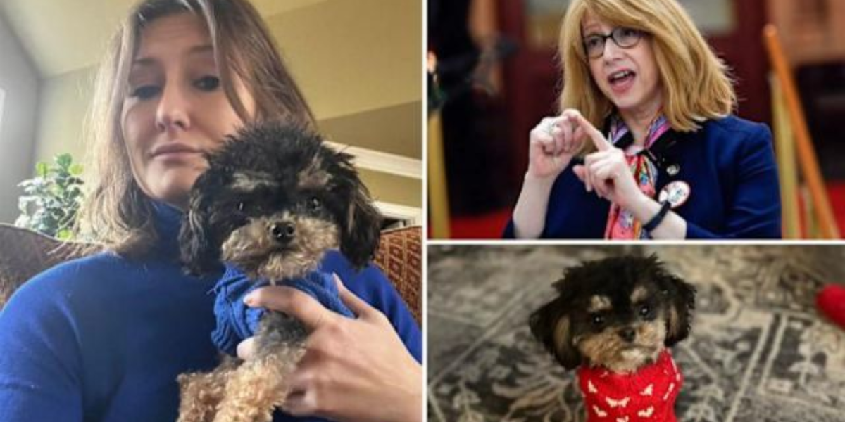 UES Dog Killed by Speeding E-Bike; Owner Left Without Legal Recourse Due to Loophole