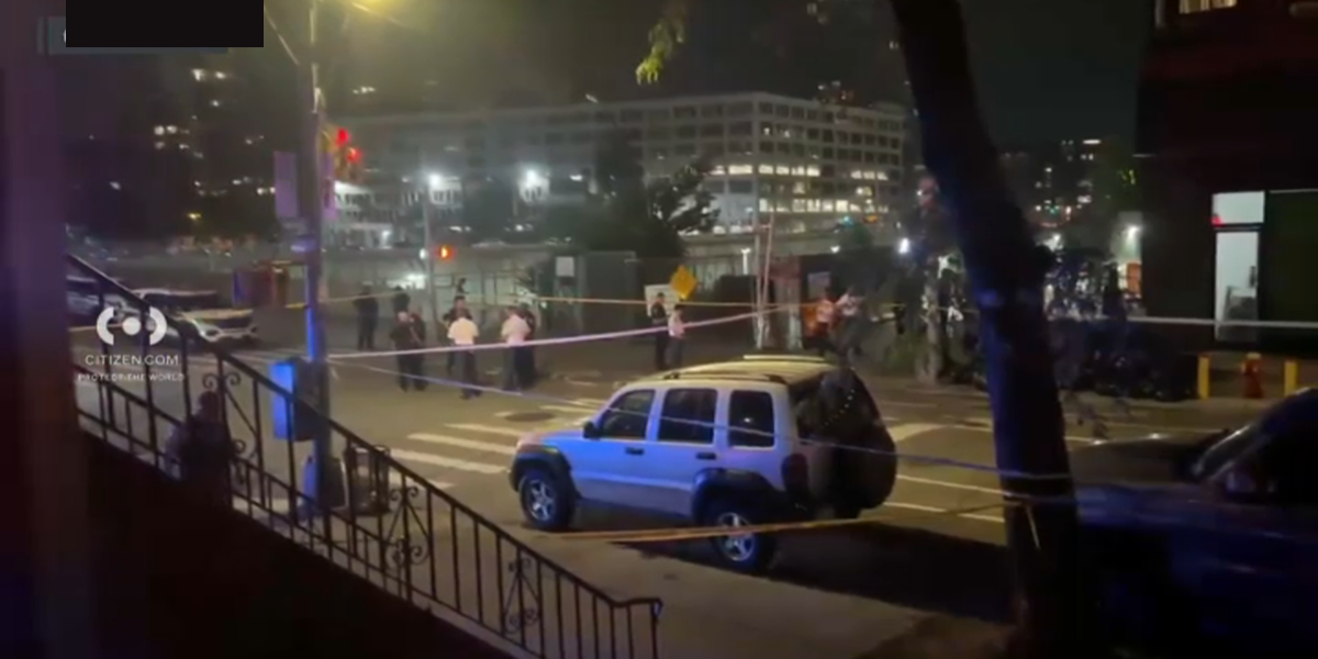 Woman and Two Teenagers Killed in Separate Shootings Across New York City