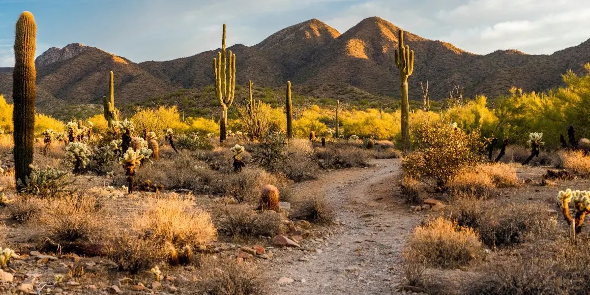 Arizona’s Real Estate Tax Trap Could Affect Nearly Half of All Homeowners