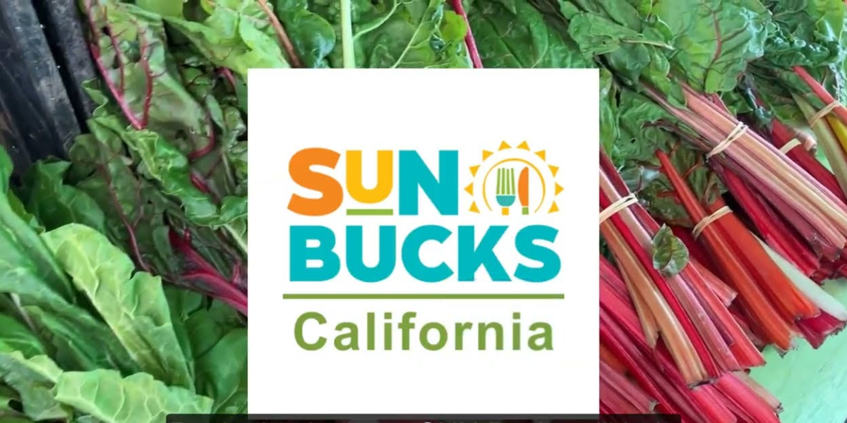 California Families to Receive $292 CalFresh SNAP Payments and $120 SUN Bucks Soon