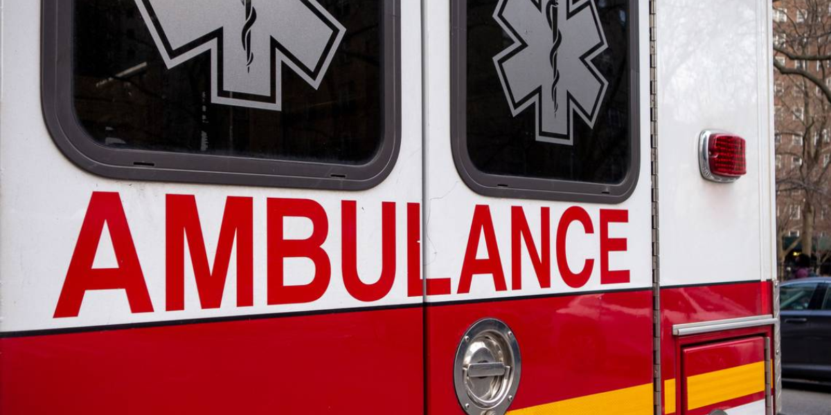 California Man Mauled to Death by Two Dogs in His Own Backyard, Police Say
