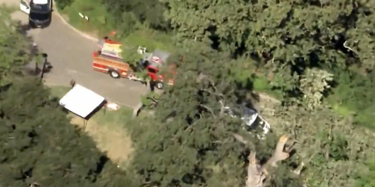 Child Dies After Tree Branch Falls at King Gillette Ranch in Calabasas