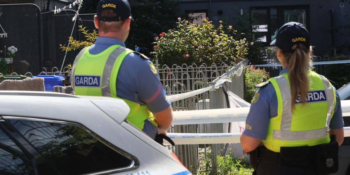 Limerick Pensioner Brutally Killed with Vodka Bottle in Bag, Say Gardai