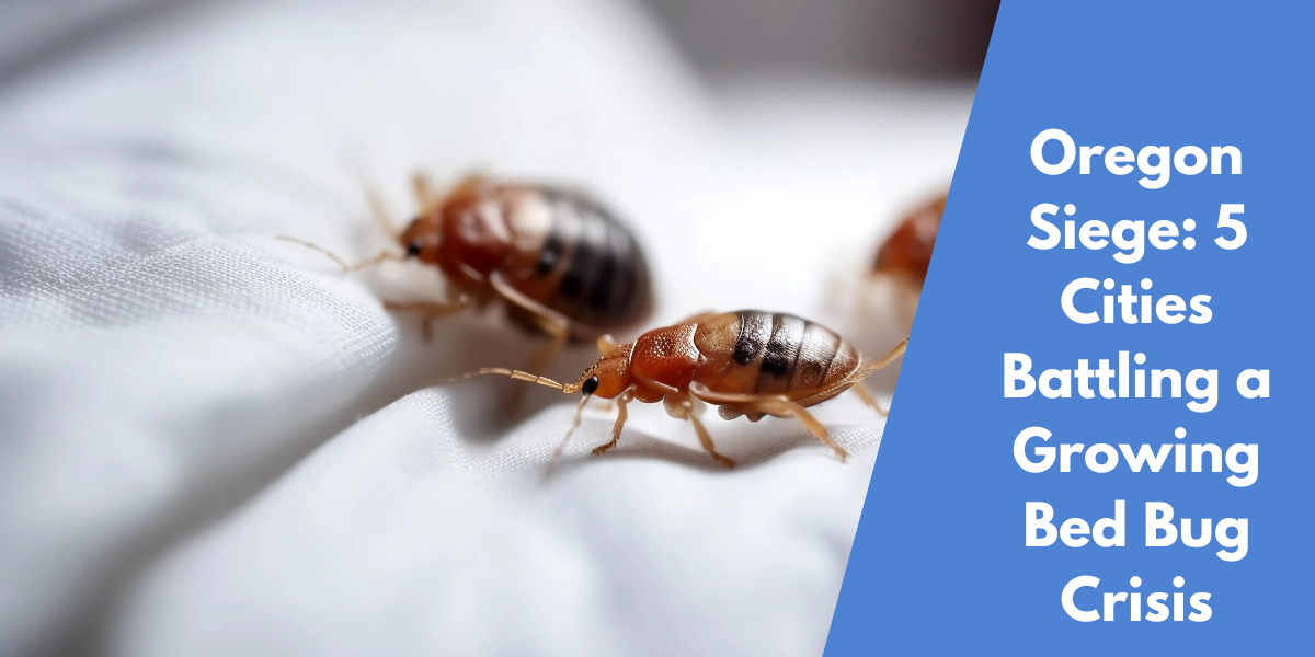 Oregon Siege: 5 Cities Battling a Growing Bed Bug Crisis