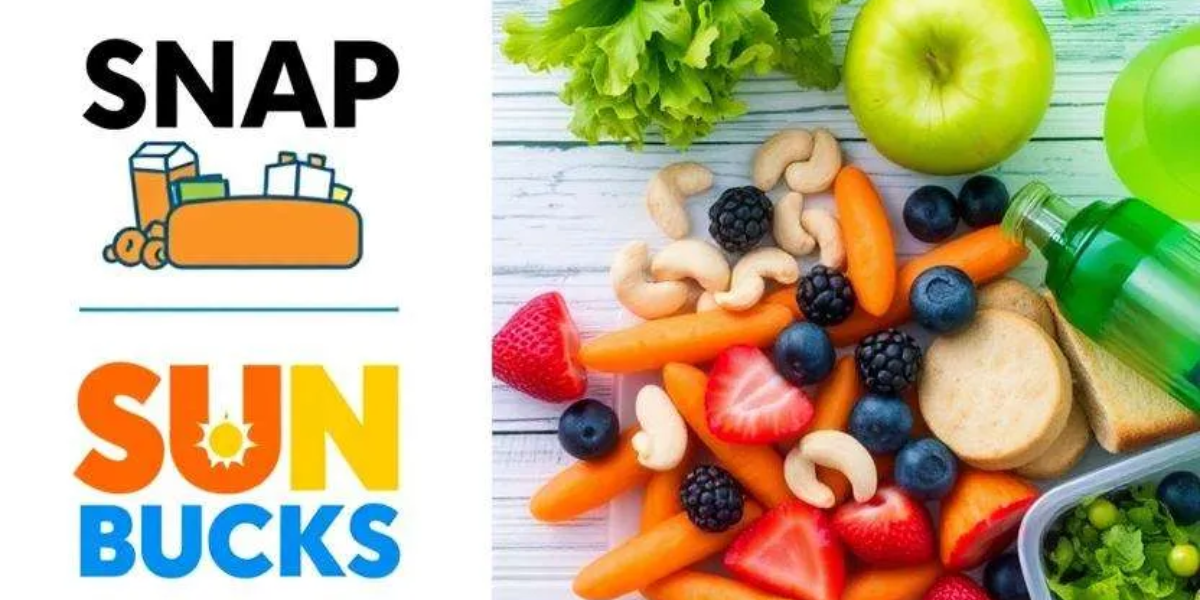 Summer EBT 2025: Families to Receive $120 Per Child Through SUN Bucks Program