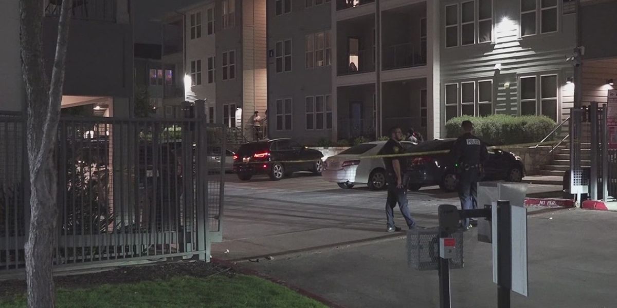 Texas Girl Dies in Sweltering Car Outside Workplace, Mother Faces Legal Scrutiny