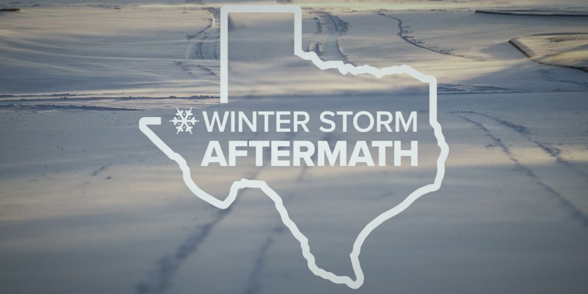 Texas Severe Weather Relief How to Apply for Disaster SNAP Benefits Now