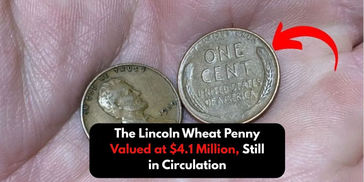 The $4.1 Million Penny Why This Common Coin Is Now One of America’s Most Valuable