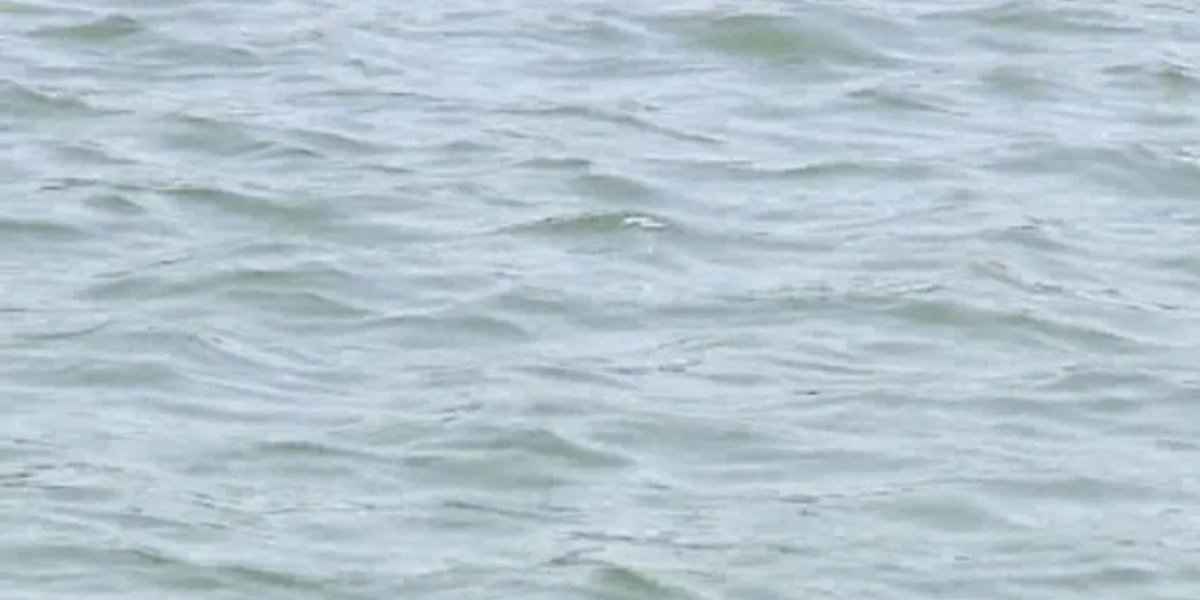Tragedy in Lake Michigan: Father and Son from Chicago Suburbs Drown in Northwest Indiana