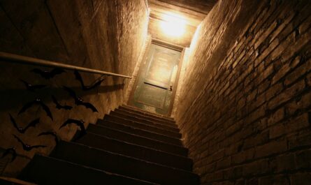 10 Creepy and Macabre Places to Visit in Florida for Paranormal Thrills