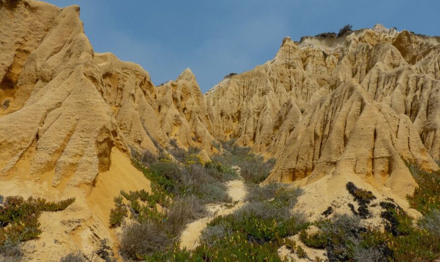 10 Incredible Florida Rock Formations You Must See, Even If the Drive Is Tough