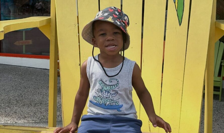 Alabama Mother Sues State Contractors After 3-Year-Old Son Dies in Scorching Hot Car