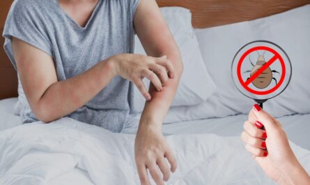 Insect Invasion: 5 Alabama Cities Battling a Growing Bed Bug Crisis