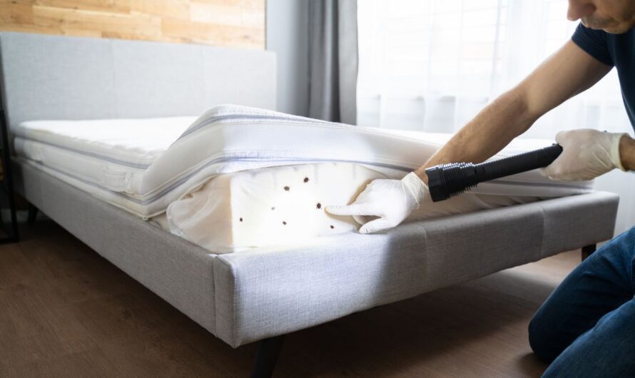 Bed Bug Crisis Hits Pennsylvania: 6 Cities Fight Growing Infestation Threat