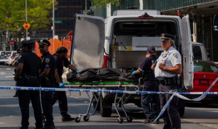 Brooklyn Nightclub Shooting Leaves 3 Dead, 9 Injured; Police Search for Multiple Gunmen