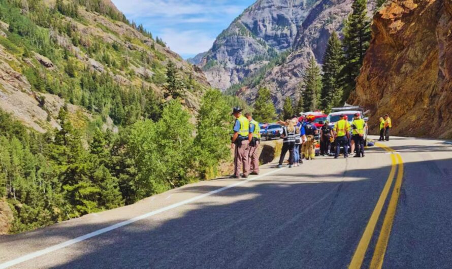 Colorado Family of 5 Killed in Horrific Wrong-Way Crash on Highway 9