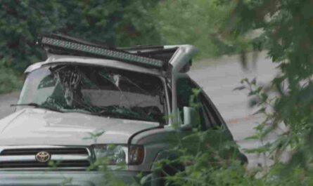 Dallas Crash Leaves Three Dead, Including Two Children, Police Say
