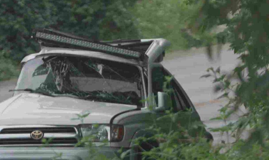 Dallas Crash Leaves Three Dead, Including Two Children, Police Say