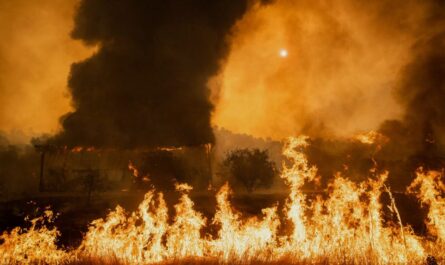 Dangerous Heat Wave Scorches California and the Southwest, Boosting Wildfire Risk