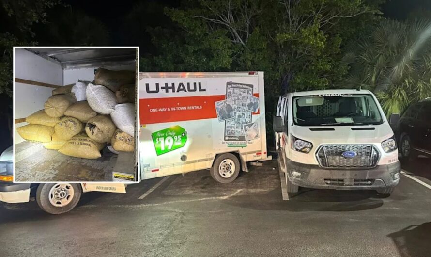 Florida Saw Palmetto Berry Theft Bust: 11 Arrested, 6,000 Pounds Seized