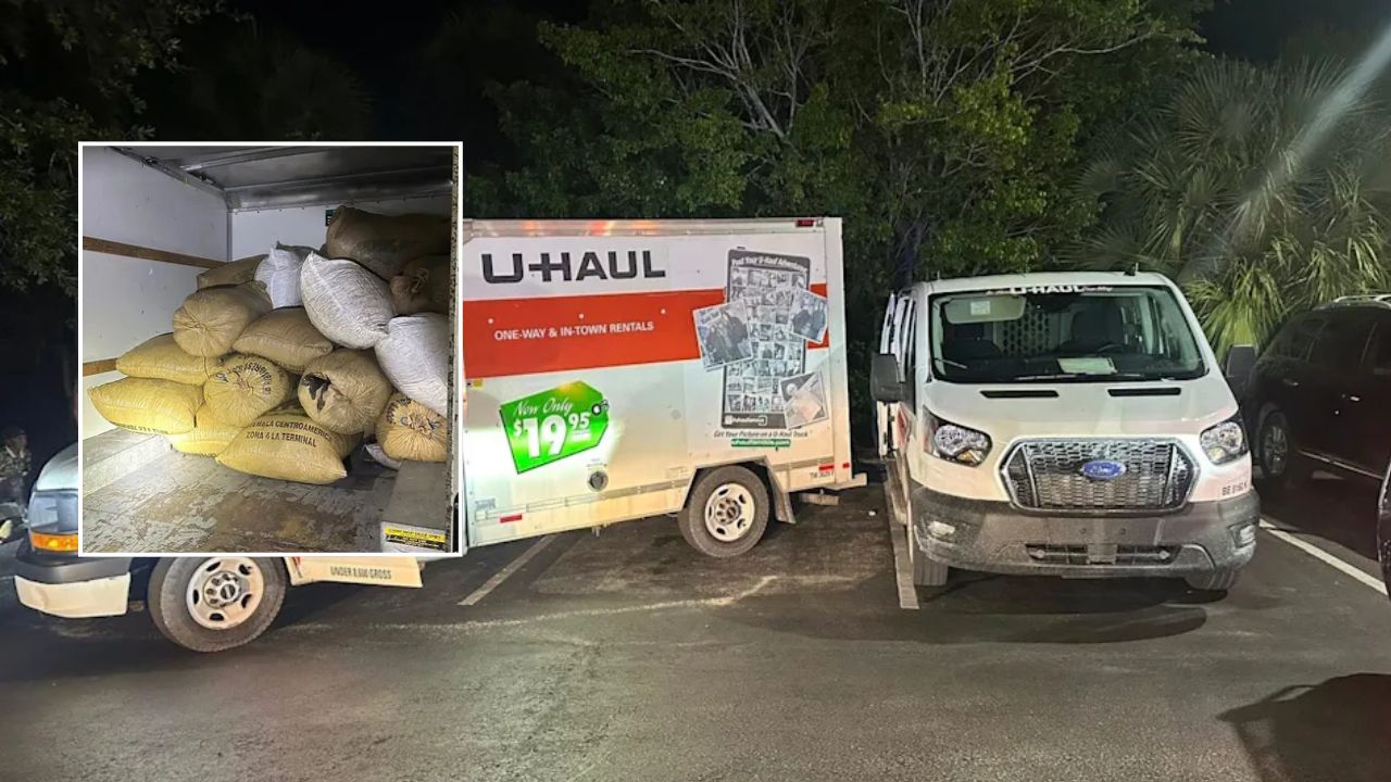 Florida Saw Palmetto Berry Theft Bust 11 Arrested, 6,000 Pounds Seized