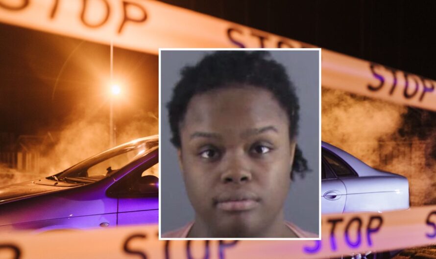 Illinois Woman Sentenced to 31 Years After Shooting Boyfriend in the Back